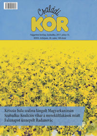 Our magazine's covers promote artists from our own environment. Here, a typical Vojvodina/Vajdaság landscape by Endre Penovác: Rapefield