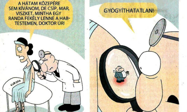 A magyar kormánypárti médiaszövetség kiakadt a Népszava egyik karikatúráján