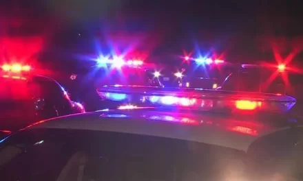 A MAGYAR RENDŐRSÉG EJTENÉ A MEDIA1-ET ÉRT TÁMADÁSOK ÜGYÉT, AZ ÜGYÉSZSÉG AZONBAN KÖZBELÉPETT