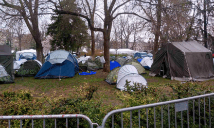 A BELGRÁDI PIONÍR PARKNÁL TOJÁSSAL DOBÁLTÁK MEG AZ INSAJDER TV FORGATÓCSOPORTJÁT