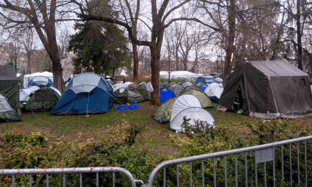 A BELGRÁDI PIONÍR PARKNÁL TOJÁSSAL DOBÁLTÁK MEG AZ INSAJDER TV FORGATÓCSOPORTJÁT