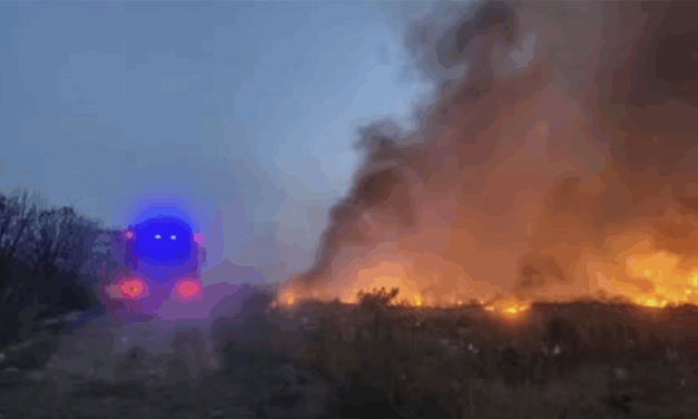 A VRANJEI KOMMUNÁLIS VÁLLALAT IGAZGATÓJA RÁTÁMADT EGY ÚJSÁGÍRÓRA (VIDEÓVAL)