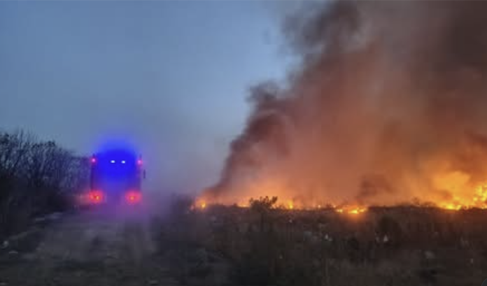 A VRANJEI KOMMUNÁLIS VÁLLALAT IGAZGATÓJA RÁTÁMADT EGY ÚJSÁGÍRÓRA (VIDEÓVAL)