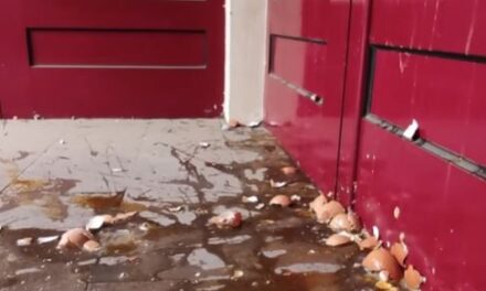 TOJÁSSAL DOBÁLTÁK MEG A ČAČAKI FÜGGETLEN MÉDIUMOK SZERKESZTŐSÉGÉT (VIDEÓVAL)