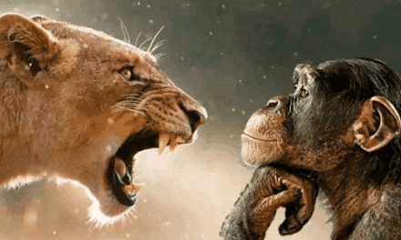 A „DÜHCSALI (RAGE BAIT)” LETT A 2025-ÖS ÉV SZAVA