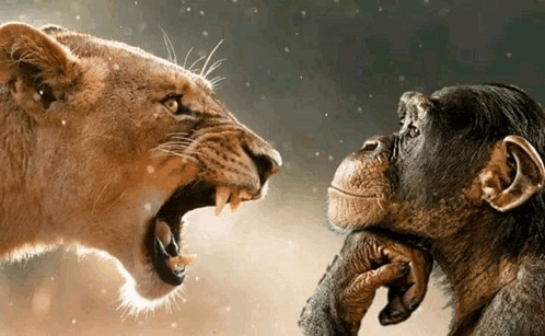 A „DÜHCSALI (RAGE BAIT)” LETT A 2025-ÖS ÉV SZAVA