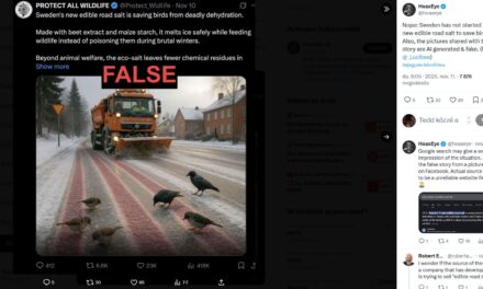 TÖMEGEK DŐLTEK BE AZ „ELSÓZOTT” ÁLHÍRNEK